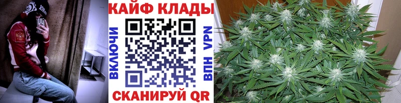 Как найти наркотики Горбатов Псилоцибиновые грибы СОЛЬ ГАШИШ Бошки Шишки