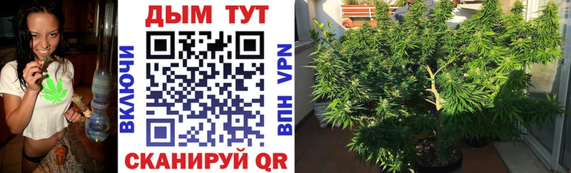 Каннабис Ganja  закладки  Горбатов 